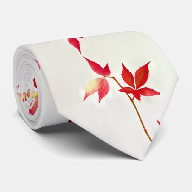 Gravata Autumn Leaf tie (Rolled)