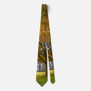 Gravata Autumn Tree E Barn Painterly Neck