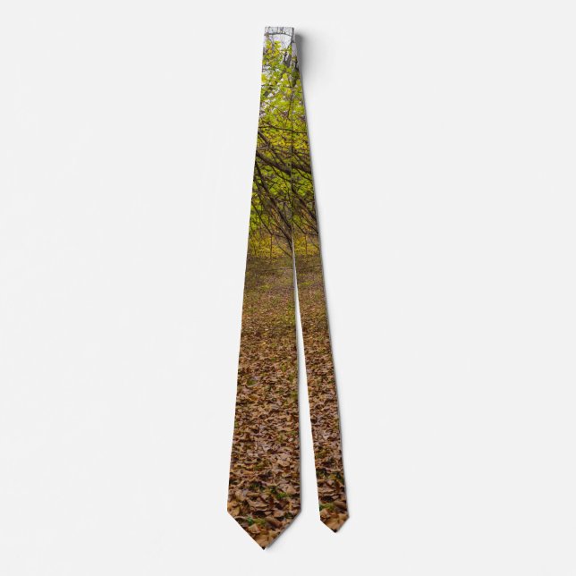 Gravata Autumn Walkway Tie (Frente)