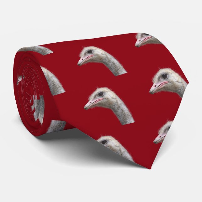 Gravata avestruz (Rolled)