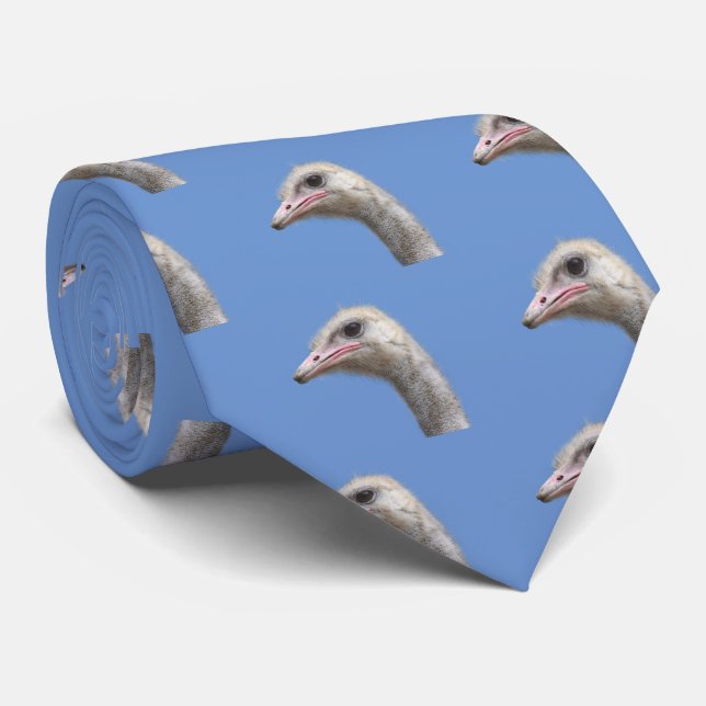 Gravata avestruz (Rolled)