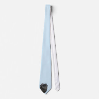 Gravata Azul do Affenpinscher com diamantes brancos