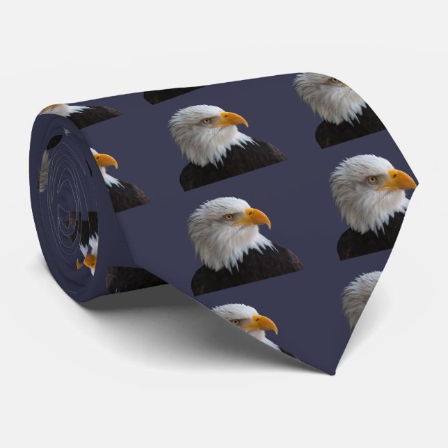 Gravata Bald eagle (Rolled)