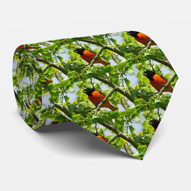 Gravata Baltimore Oriole Men's Tie (Rolled)