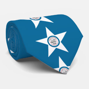 Gravata Bandeira da cidade de Houston, Texas Neck Tie