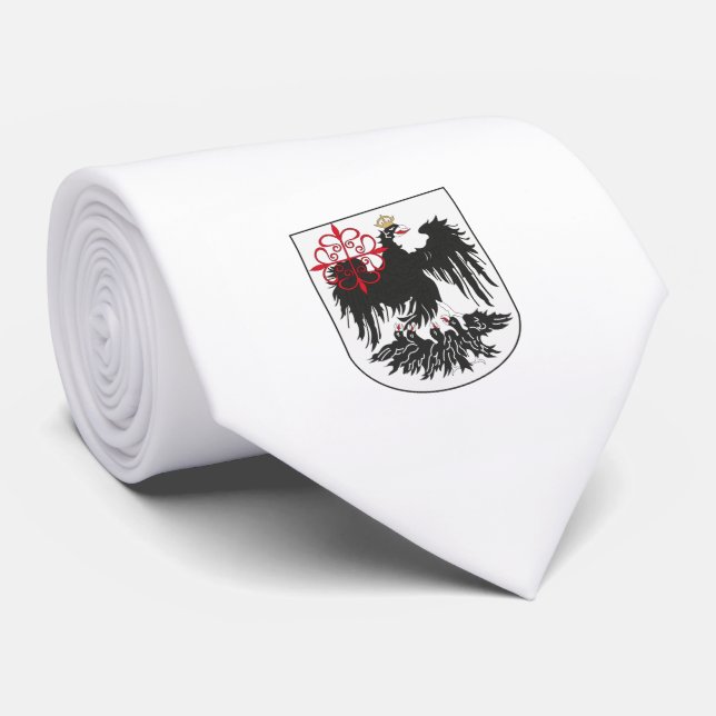 Gravata Bandeira de Buenos Aires (Argentina) (Rolled)