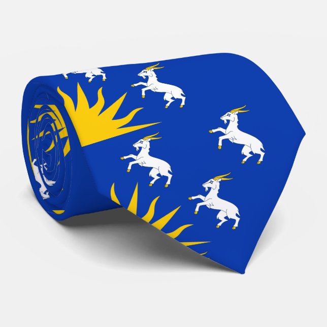 Gravata Bandeira de Merionethshire Neck Tie (Rolled)