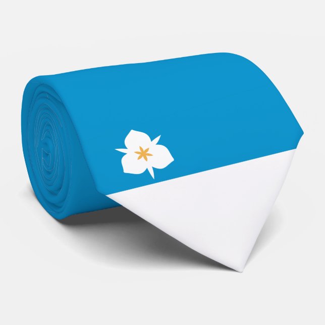 Gravata Bandeira de Salt Lake City (Utah) (Rolled)