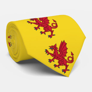 Gravata Bandeira de Somerset