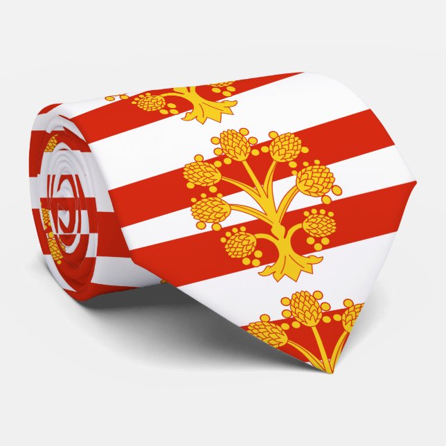 Gravata Bandeira de Westmorland (Rolled)