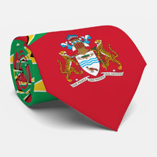 Gravata Bandeira e Casaco de Armas da Guiana, Bandeira da