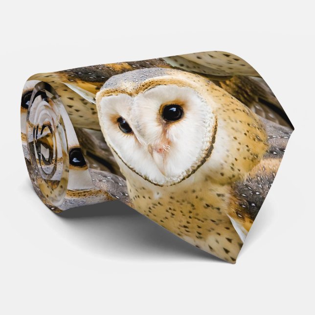 Gravata Barn Owl (Rolled)