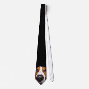 Gravata Basset Hound