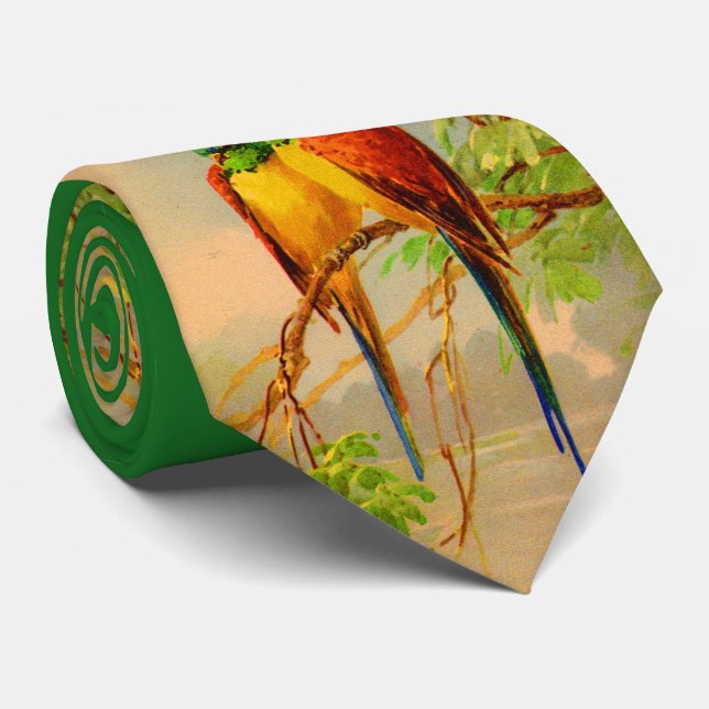 Gravata beautiful birds print (Rolled)