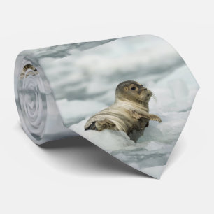 Gravata Bebê Foca Fofo