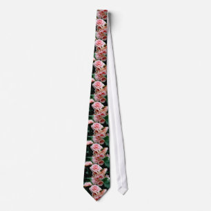 Gravata Begónia de florescência cor-de-rosa