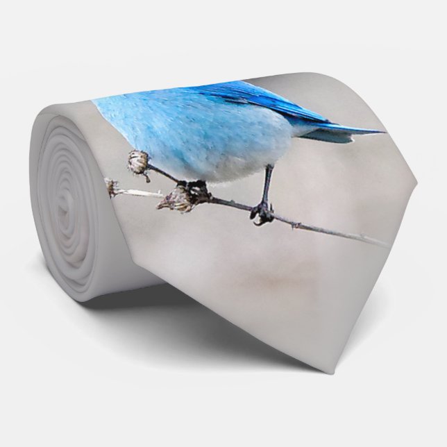 Gravata Bela Montanha Bluebird (Rolled)