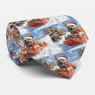 Gravata Belga Malinoi em Sledge Deixe nevar o Natal