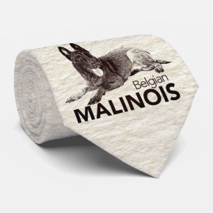 Gravata Belga Malinois - Mechelaar - Maligator
