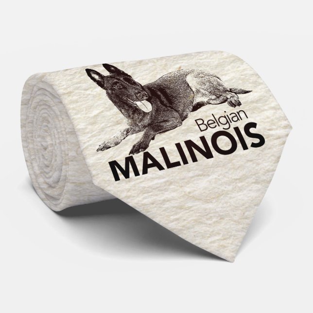 Gravata Belga Malinois - Mechelaar - Maligator (Rolled)