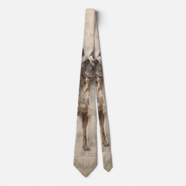 Gravata Belga Malinois - Mechelaar - Maligator (Frente)