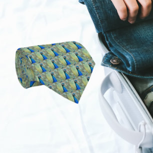 Gravata Belo Penas de Pavão Azul