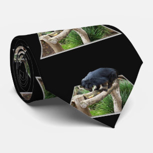 Gravata Binturong Em Pista De Madeira,