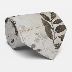 Gravata biologia da natureza da história do dodo