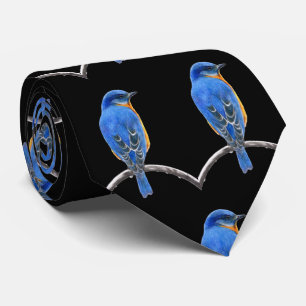 Gravata Bluebird