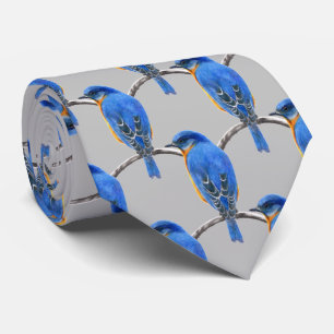 Gravata Bluebird