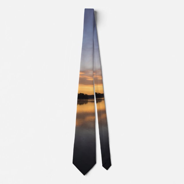 Gravata Bom dia Lago Springfield Neck Tie (Frente)