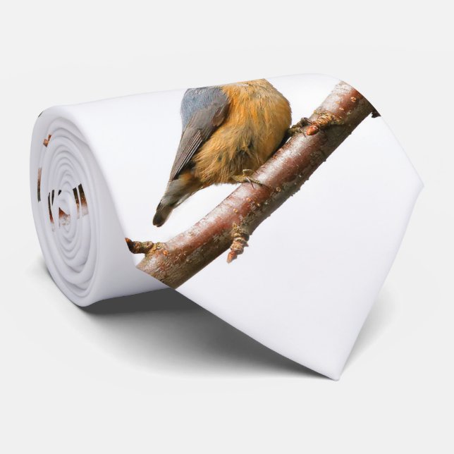 Gravata Bonito Nuthatch Vermelho em um Ramo (Rolled)