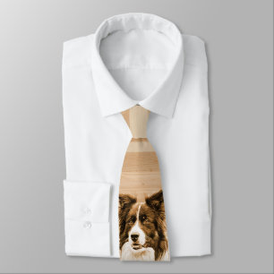 Gravata Bordo Cão Animal Pet Pet Tie