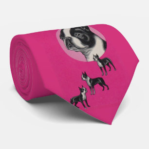 Gravata Boston terriers
