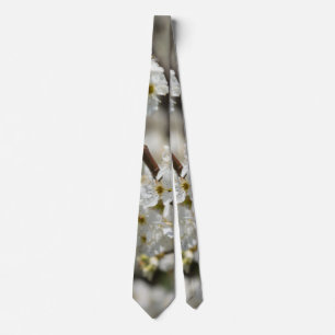 Gravata Bradford Select Focus Tie