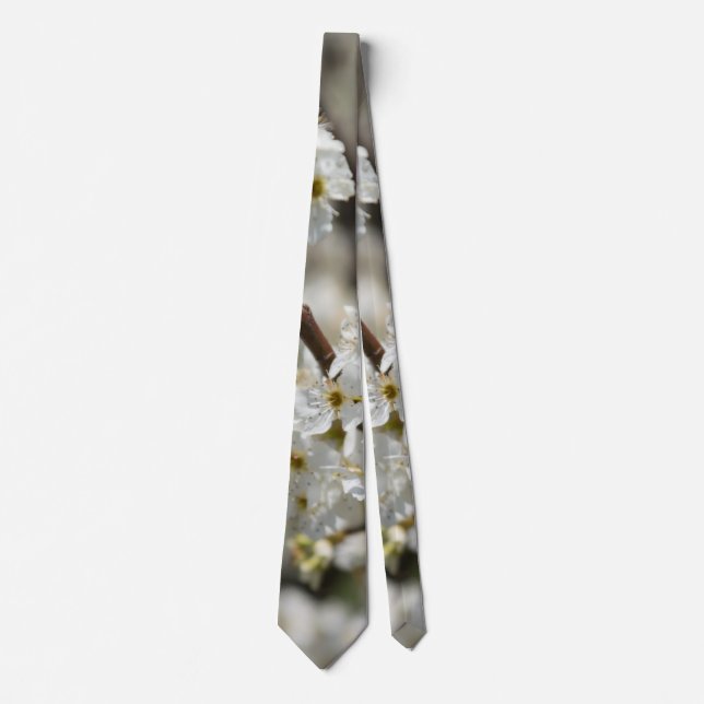 Gravata Bradford Select Focus Tie (Frente)