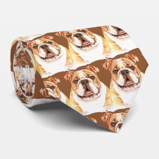 Gravata Brown English Buldogue