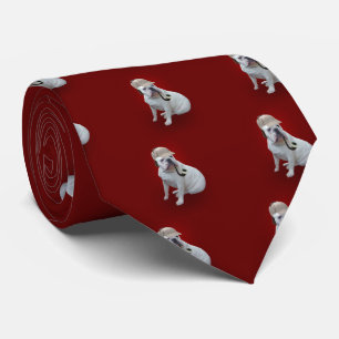 Gravata buldogue inglês