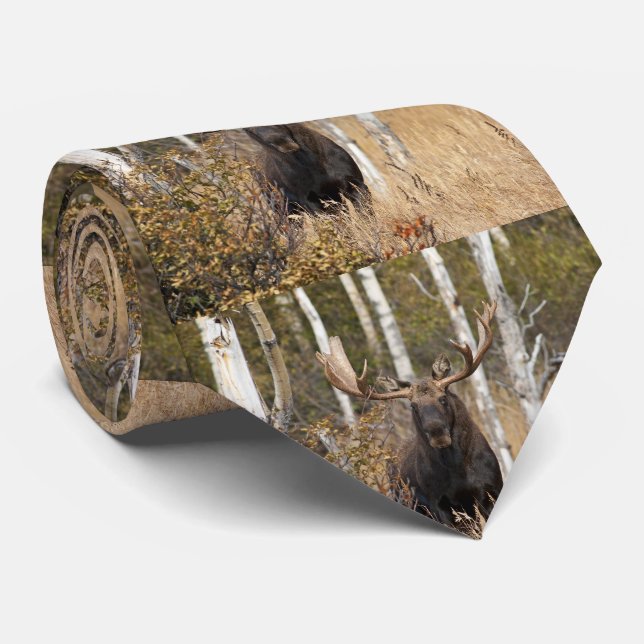 Gravata Bull Moose Impressionante (Rolled)