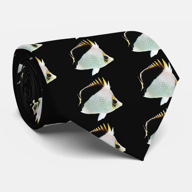 Gravata Butterflyfish do Havaí, Chaetodon tinkeri (Rolled)