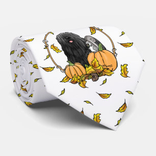 Gravata Cachorro Cachorro (preto) Pumpkins Deixa Bonito En