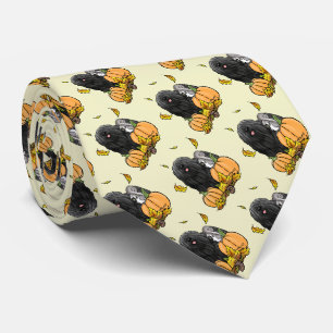 Gravata Cachorro Cachorro (preto) Pumpkins Deixa Bonito En