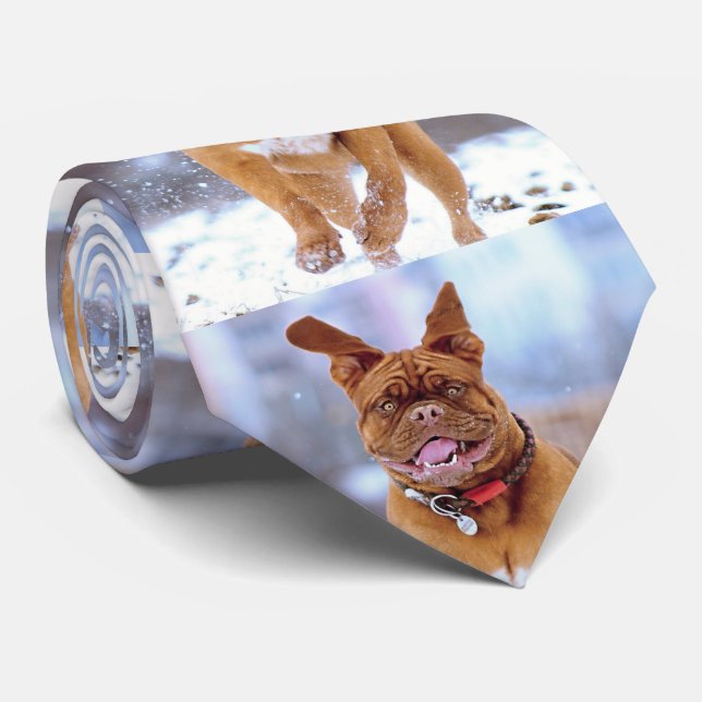 Gravata Cachorro Engraçado (Rolled)