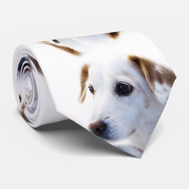 Gravata Cachorro Fofo (Rolled)