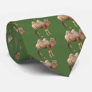 Gravata Camel