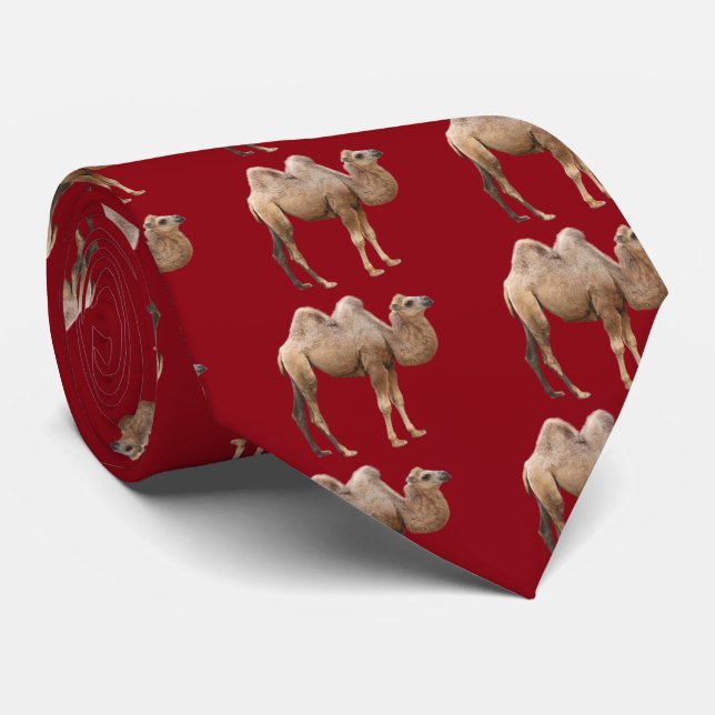 Gravata Camel (Rolled)
