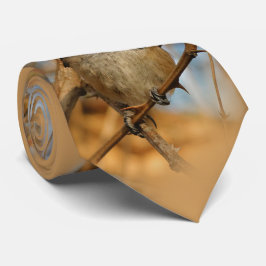 Gravata Cantarilho De Capa Negra Bonito E Esperançoso