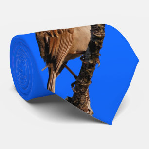 Gravata Cantos de Sparrow de cor branca ao Sol