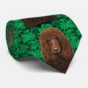 Gravata Cão de Água Irlandês