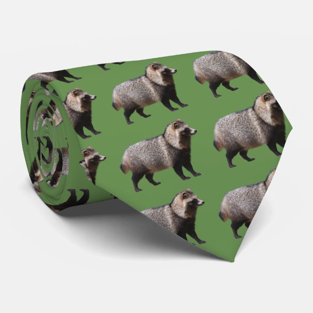 Gravata cão Raccoon (Rolled)